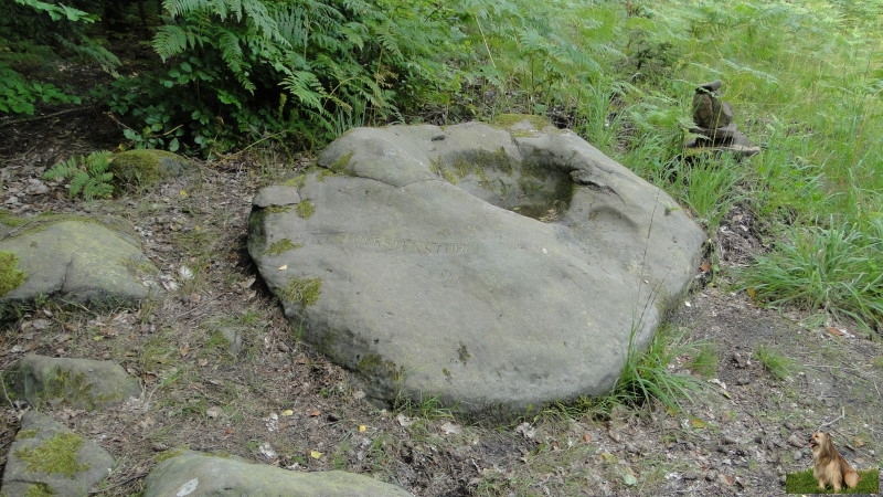 Ritterstein Nr. 253-2 Kurfürstenstuhl.JPG - Ritterstein Nr.253 Kurfürstenstuhl